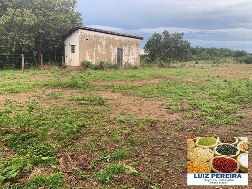 Imagem 15 de 15 de Fazenda À Venda Em Monte Santo - To - De 83 Alqueirões (dupla Aptidão) - 1623