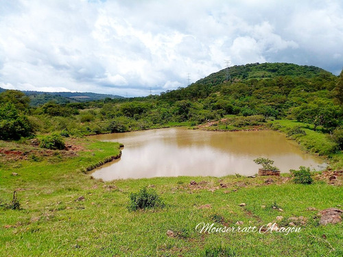 Increíble Terreno Con Manantial