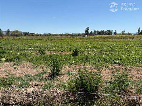 Terreno Agrícola En Arriendo En Longaví