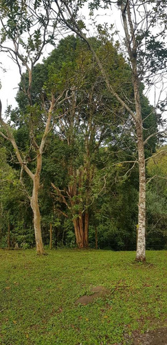 Imagem 14 de 14 de Sitio Próximo A Represa Ref 1291