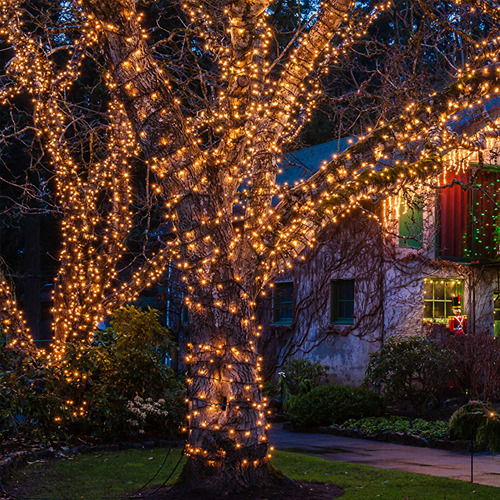 Juego De 100 Luces De Navidad Mini Transparentes 6.4 M