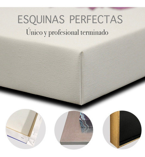 Arquitectura Perspectiva De Fuga Edif C/marco Cuadro Canvas