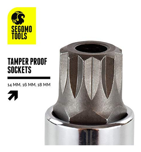 Segomo Tools - Juego De 10 Piezas De Puntas De Triple Cuadr
