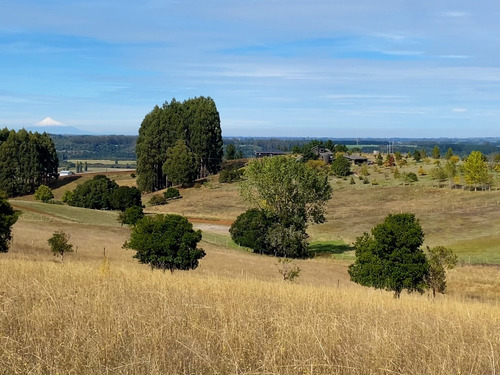 Imagen 4 de 30 de Campo Con Casa Talingotinto 10,5ha R. De Los Ríos