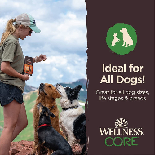 Wellness Core - Pequeños Entrenadores Tiernos, Sin Granos, C