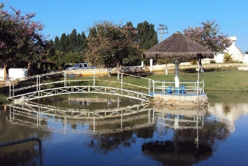 Imagem 9 de 18 de Venda - Sítio Jardim Monções / Iperó/sp - 4815