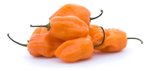 Semillas De Chile Habanero Naranja