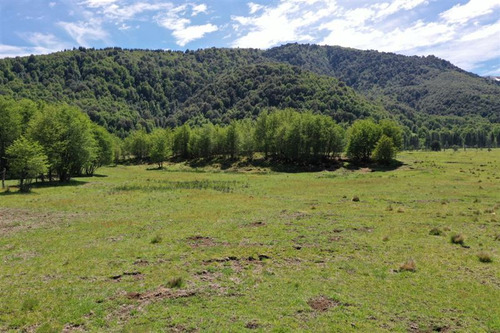 Terreno 5.000 M2 A Pocos Metros Pueblo Malalcahuello