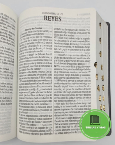 Biblia Rvr1960 Indices Y Letra Grande Concordancia Amplia
