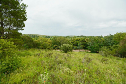 Imagen 4 de 8 de Lote De 1000 M2 En Venta, En Villa Giardino. Cordoba.