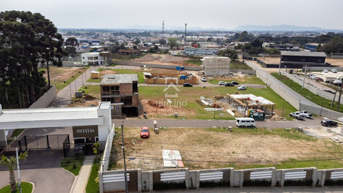 Imagem 4 de 15 de Terreno - Sao Pedro - Ref: 9173 - V-9173
