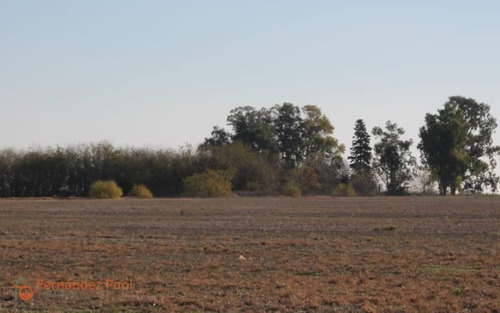 Imagen 17 de 23 de Oportunidad Campo En Zavalla