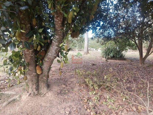 Imagem 9 de 15 de Chacara - Ref: 7128 - V-7128