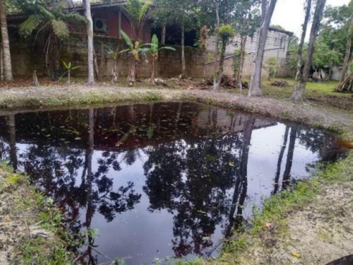 Imagem 2 de 14 de Chácara Medindo 5085m², Com 1 Quarto. Itanhaém-venda