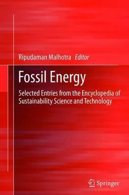 Libro Fossil Energy - Ripudaman Malhotra