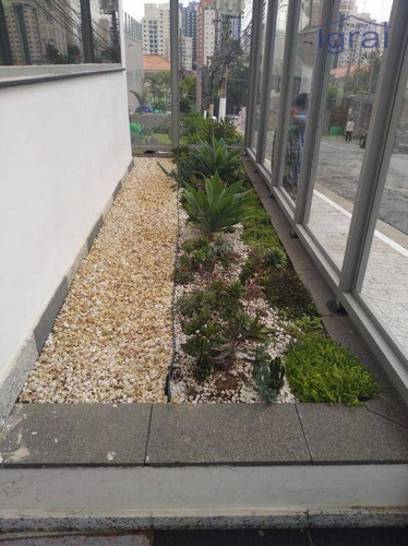 Imagem 3 de 30 de Apartamento Com 3 Dormitórios - Ap1367
