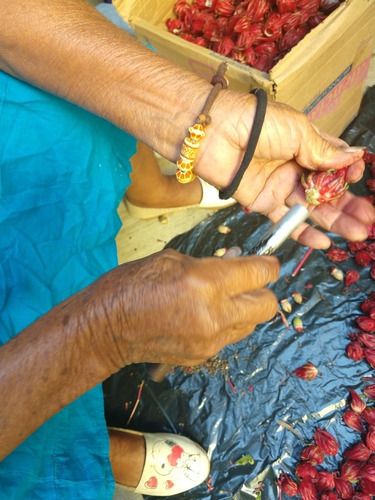 Polvo De Jamaica Criolla (un Kg)