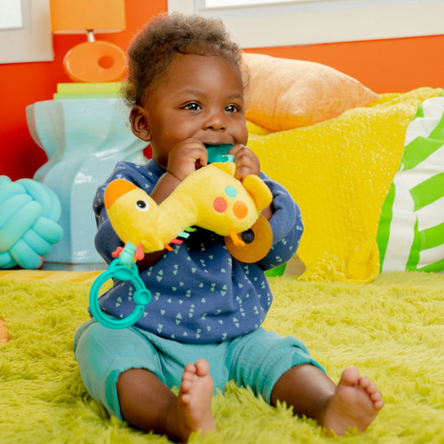 Mordedera De Bebé Con Peluche Bright Starts Rattle & Teether