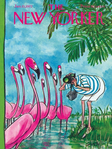 New York Puzzle Company - New Yorker Flamingo Fotógrafo - Ro