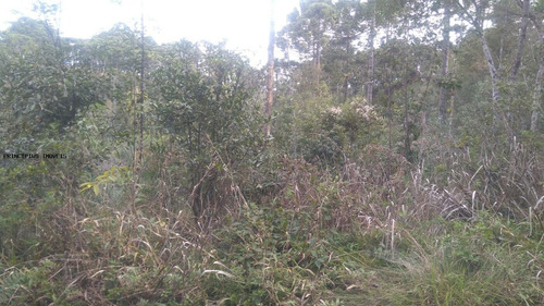Imagem 8 de 15 de Chácara Para Venda Em Campina Grande Do Sul, Imbuial - 00292_2-1224372