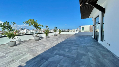 Local Comercial 4to Nivel En Alquiler En Bella Vista