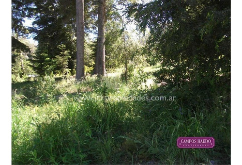 Lote Plano Con Vista Al Lago En Bahía Montaña - Manzano- Vil