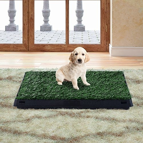 Baño Ecologico Portatil Para Mascotas Perros Gatos Y Otros