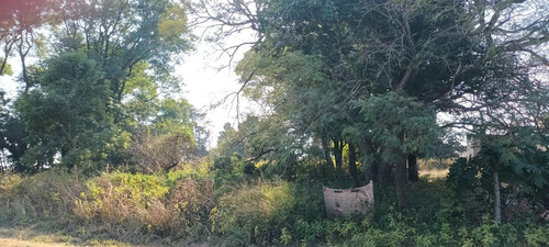 Campo - La Rubia
