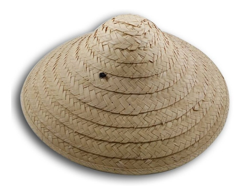 Sombrero Kasa Japones Oriental Palma Mayoreo Disfraz