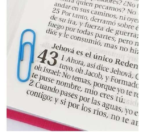 Imagen 3 de 4 de Biblia Reina Valera 1960 Letra Gigante Cierre Fucsia Rosa Qr