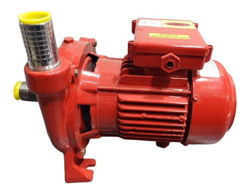 Imagen 1 de 8 de Electrobomba Trasvase Gasoil 1hp 1'' 220v Rossi Bomba 15000l