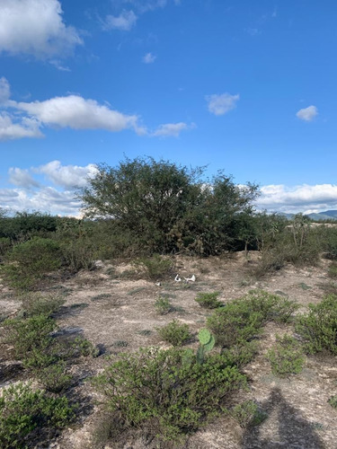 Terreno A 1 Min De Carr Ixmiquilpan Con Pozo $250/m2