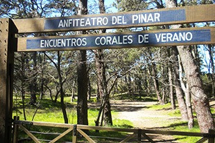 Imagen 13 de 14 de Dueño Alquila Villa Gesell Monoambiente Frente Al Bosque