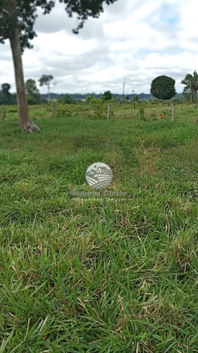 Imagem 3 de 11 de Venda Sítio Machadinho D'oeste Em Rondônia - Sia249