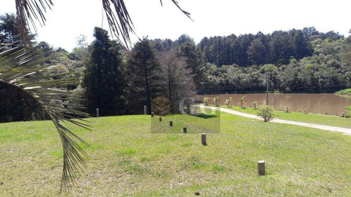 Imagem 2 de 17 de Terreno À Venda, 5000 M² Por R$ 150.000,00 - Espigão - Viamão/rs - Te0240