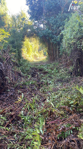 Vendo Terreno En Pucón, Sector Metreñehue