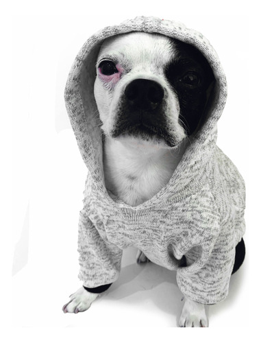 Ropa Para Mascotas-saco-buzo-hoodie-rodri-talla M