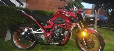 Vento 2023