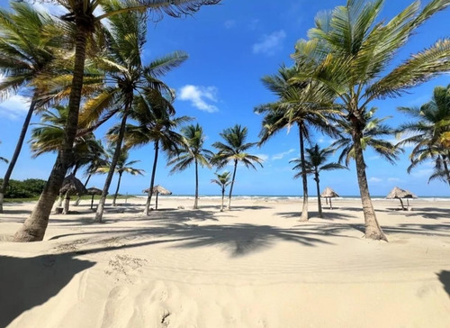 Apartamento De 2 Habitaciones En Los Cayos Boca Aroa Tucacas