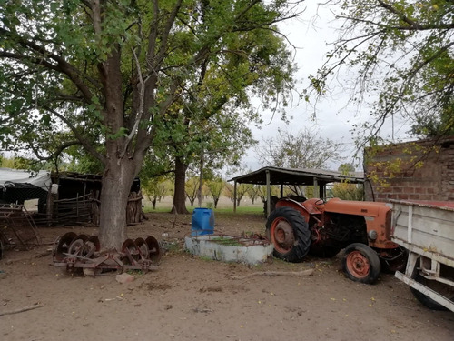 Imagen 8 de 14 de Finca 27 Hs En Gral.alvear, Pcia. De Mendoza