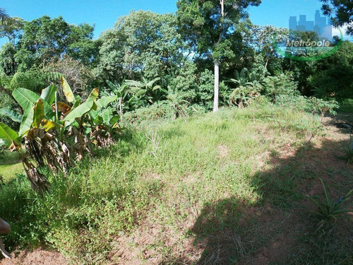 Chácara Com 3 Dormitórios À Venda, 4000 M² Por R$ 450.000 - Cuiabá - Nazaré Paulista/sp - Ch0019