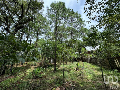 Venta Terreno 0 Ambiente Chijiltec (san Isidro)