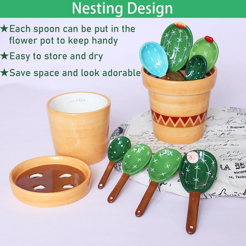 Cucharas De Medición De Cactus Colocados En Tazas De Y De De