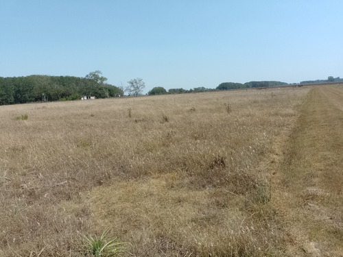 Terrenos En Venta En Zona Rural Partido De Chascomús.