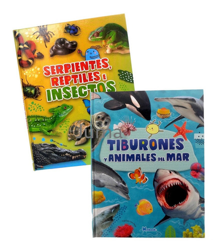 Libros Animales Del Mar/ Serpientes, Reptiles E Insectos