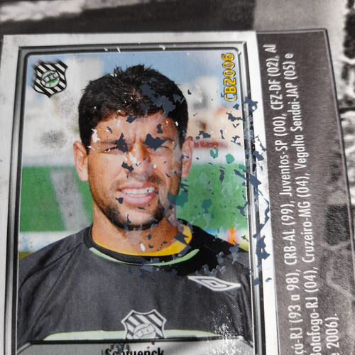 Imagem 4 de 10 de Album Campeonato Brasileiro 2006 Faltam 3 Figurinhas, Panini