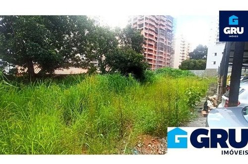 Imagem 8 de 10 de Terreno De 2.100 M² Localizado No Centro - Te703