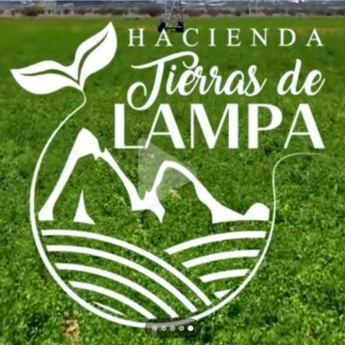 Venta Parcela Lampa