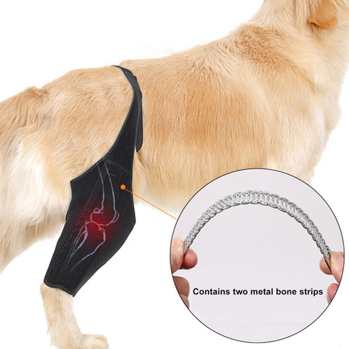 / Soporte De Cadera Para Perro Soporte Para Patas Traseras