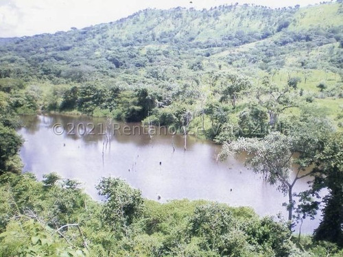 Imagen 7 de 8 de Finca Vallecito Carretera Vía San Sebastián De Los Reyes. Codigo 22-14451 Yinett A